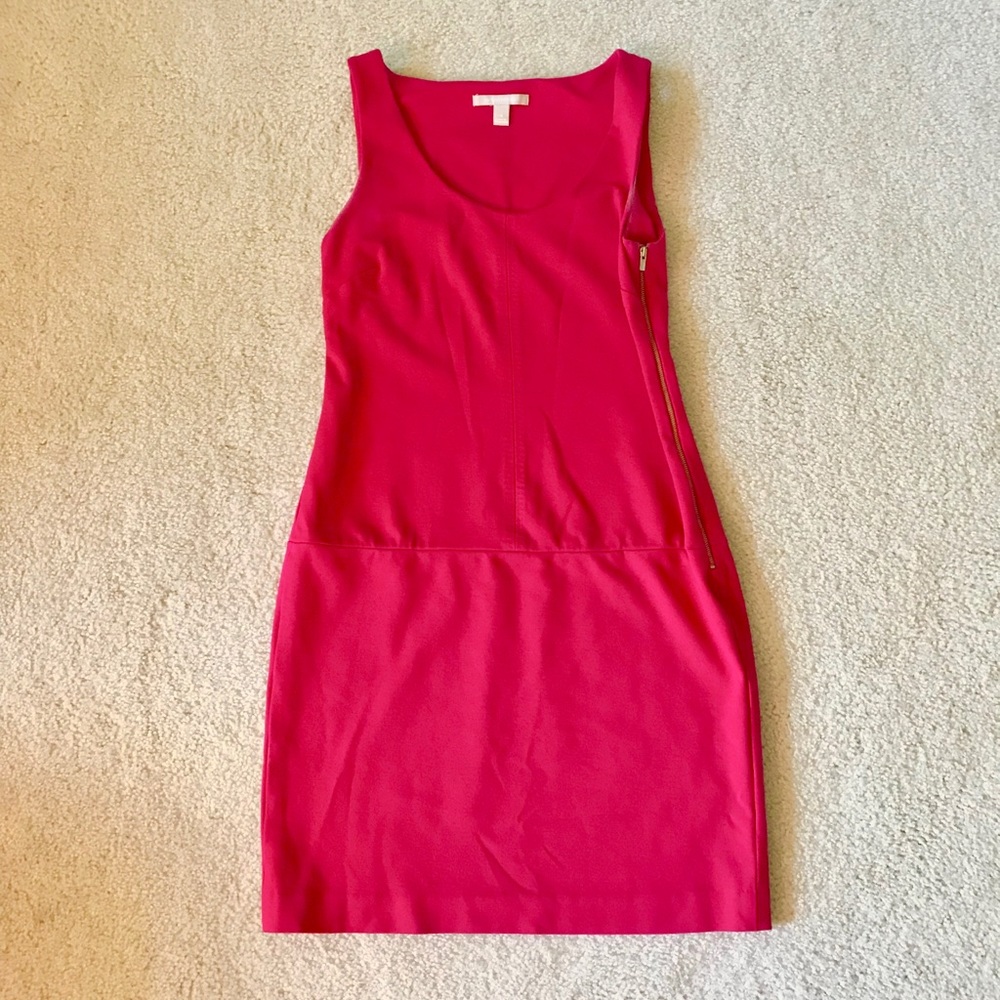 Banana Republic Raspberry Red Scoop Neck Dress